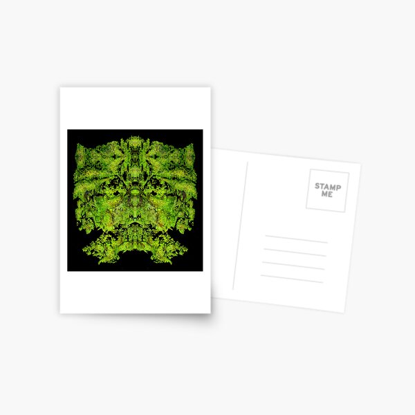 Charisma God Postcard
