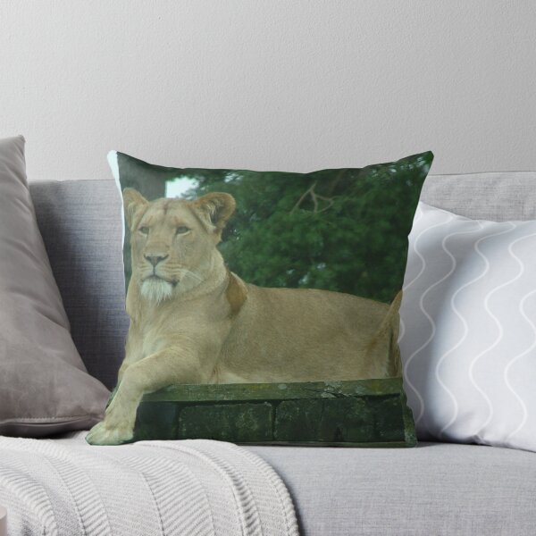 Item preview, Lioness designed and sold by acwatson.