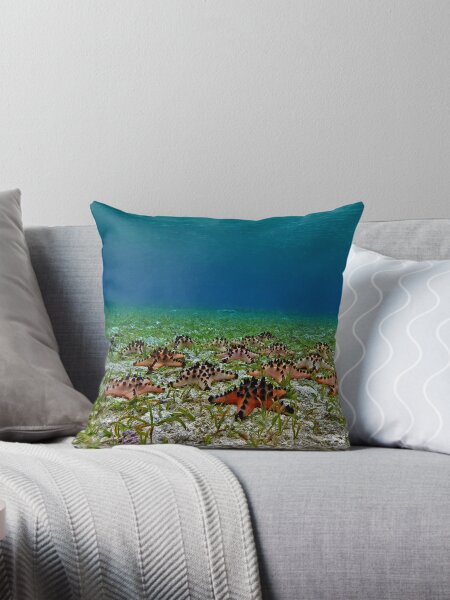 Item preview, Seastars by the seagrass shore designed and sold by daveharasti.