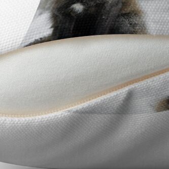 Alternate view of Silver Fox in Snow Throw Pillow