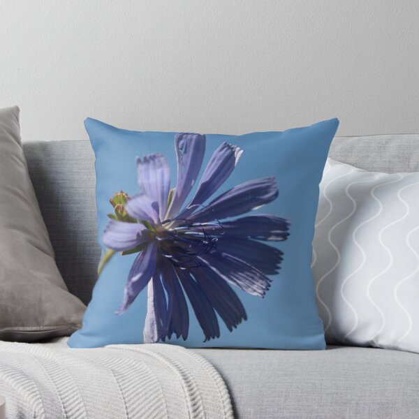 Item preview, ~Chicory~ designed and sold by Debra LINKEVICS.