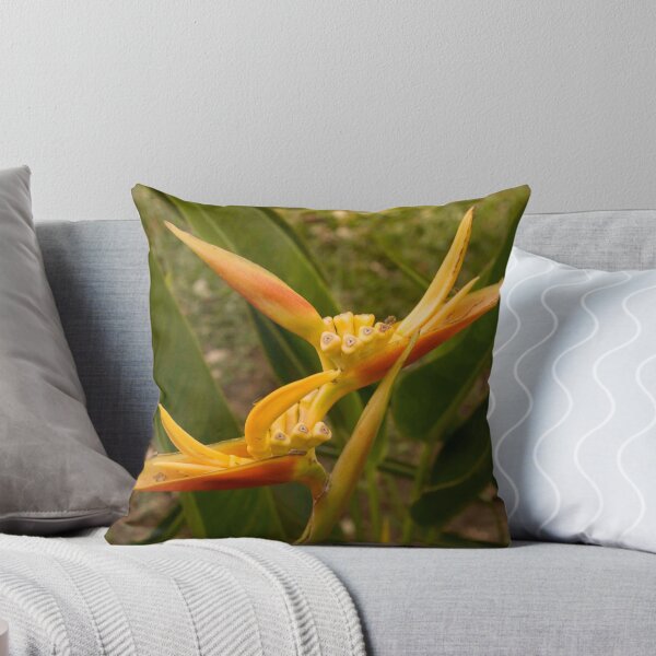 Item preview, singular designed and sold by clan51.