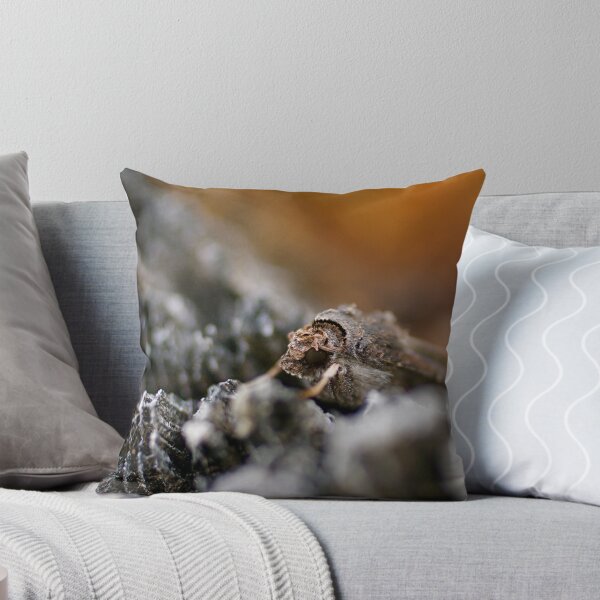 Item preview, I Know You designed and sold by fatdade.