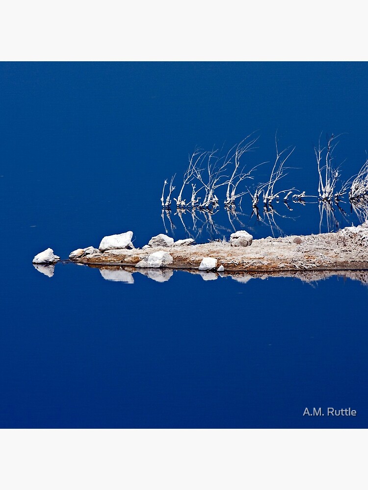 Salt Twigs Floating in an Island of Blue by annruttle