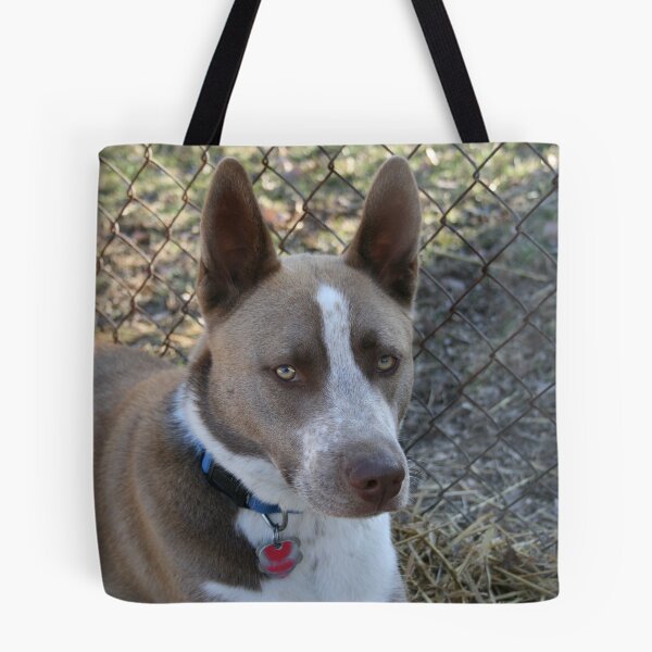 Item preview, STAY!!! designed and sold by rfried.