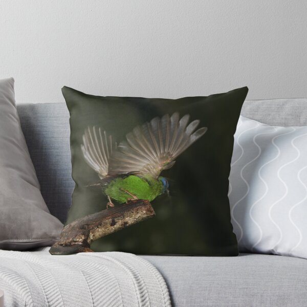Item preview, Taking Off designed and sold by minniemanx.