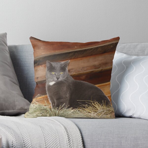 Barn cat Throw Pillow