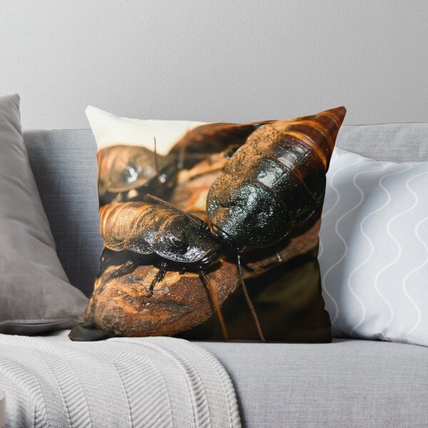 Madagascar Hissing Cockroach Throw Pillow