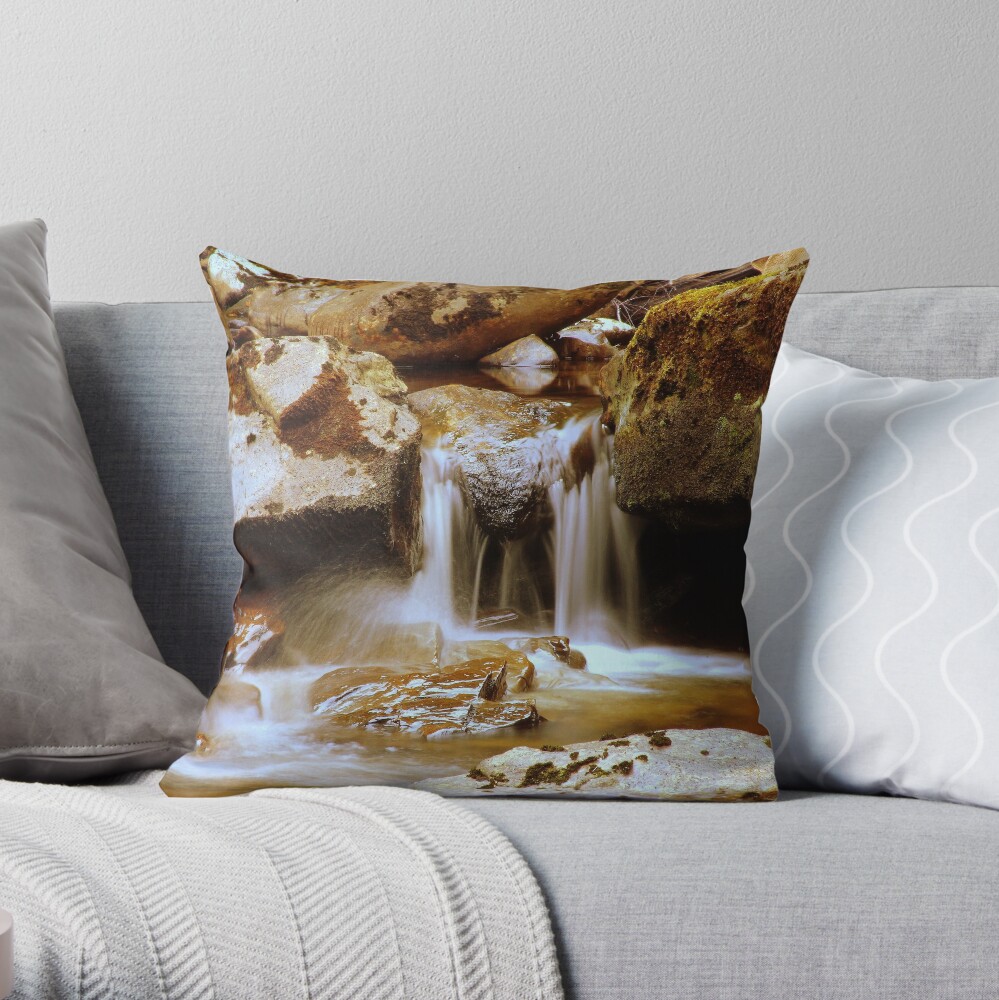 Rocks and Water Throw Pillow