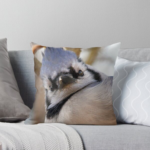 Item preview, Wassup? designed and sold by Karen Scrimes.