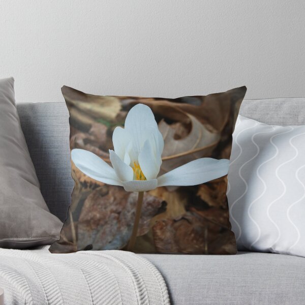 Item preview, Bloodroot Blossom designed and sold by Richard G Witham.