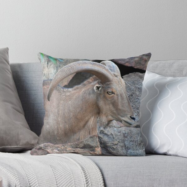 Item preview, The Ram designed and sold by laureenr.