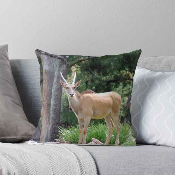 Item preview, The Buck designed and sold by laureenr.