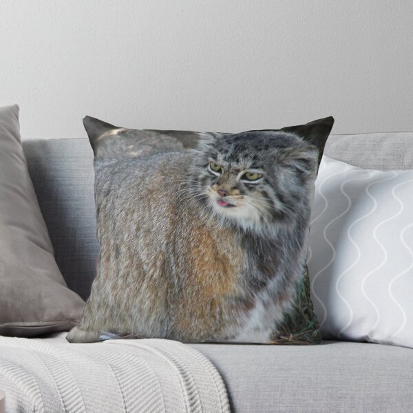 Item preview, Pallas Cat designed and sold by starbucksgirl26.