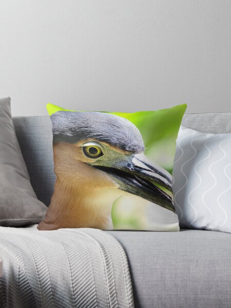 Aperçu de l'œuvre Nankeen Night Heron créée et vendue par Zeanana.