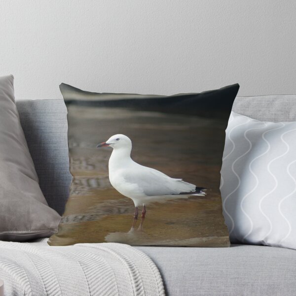 Artikelvorschau, Seagull entworfen und verkauft von Rick Fin.