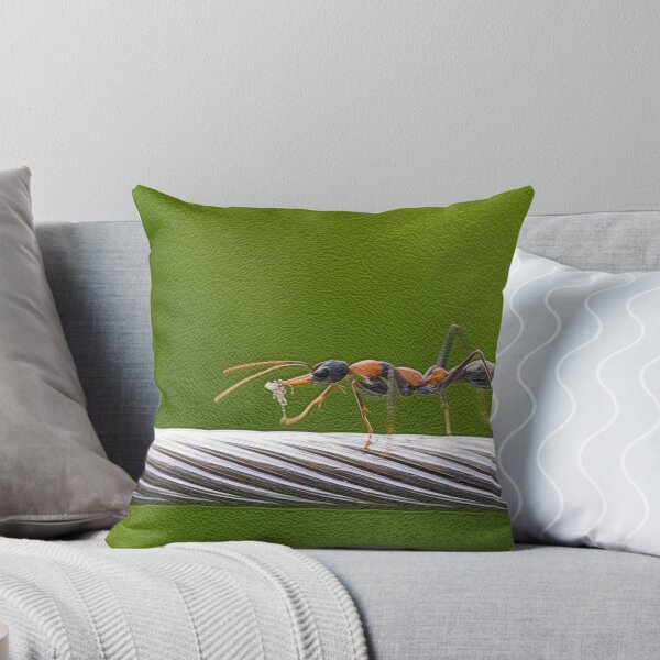 Item preview, The hunter returns designed and sold by Steve  Woodman.