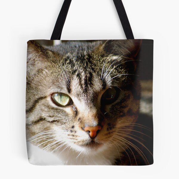 Item preview, Whiskers designed and sold by Taylor Russell.