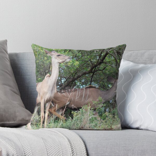 Item preview, Kudu Beauty designed and sold by laureenr.