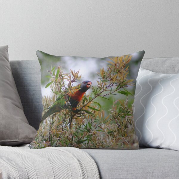 Item preview, Rainbow Lorikeet designed and sold by Alison  Gainge.