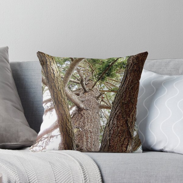 Item preview, A Boy's Dream designed and sold by RobertCharles.