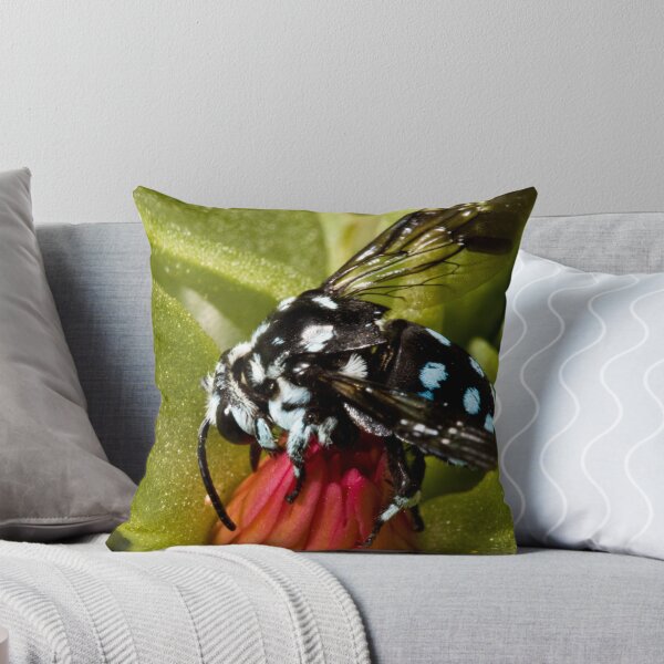 Aperçu de l'œuvre Neon Cuckoo Bee créée et vendue par Colin Ewington.