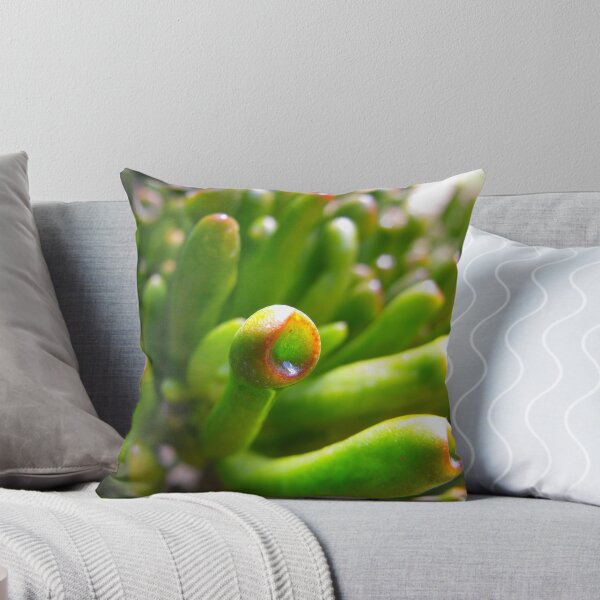 Item preview, Brain Coral (Jade) designed and sold by Dave Storey.