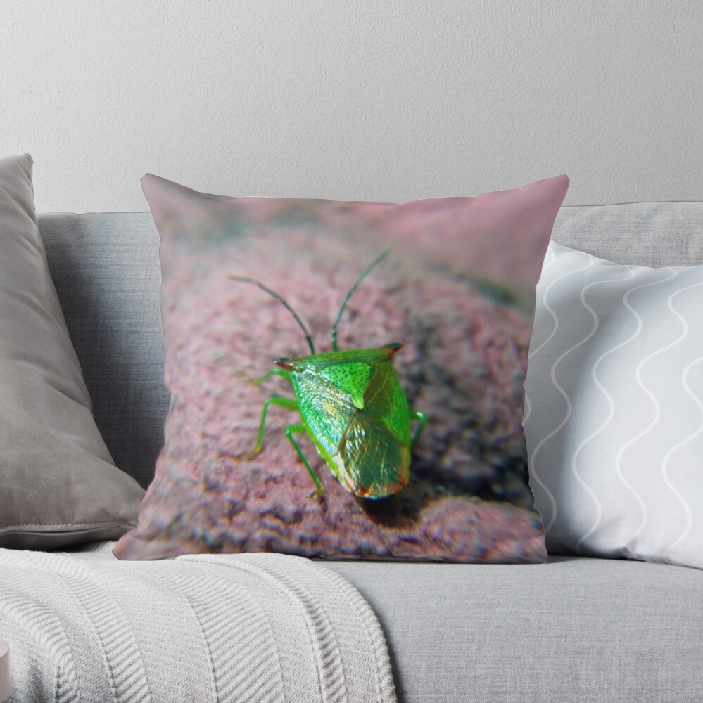 Urban-Warrior Throw Pillow
