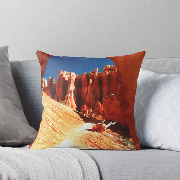 Bryce Doorway Throw Pillow