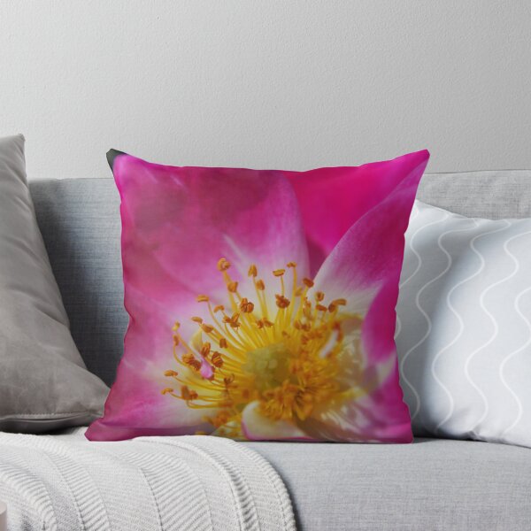 Item preview, Rosa 'Shady Lady' designed and sold by Julie Sherlock.