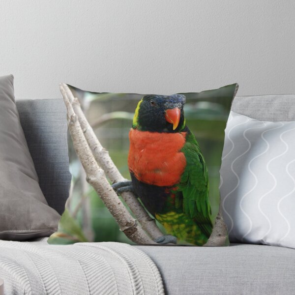 Item preview, Lorikeet designed and sold by Virginia N. Fred.