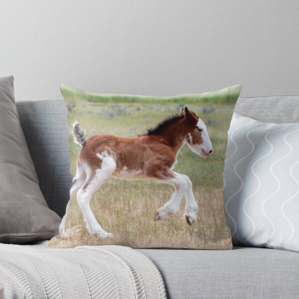 Item preview, Fast foal designed and sold by Kat36.
