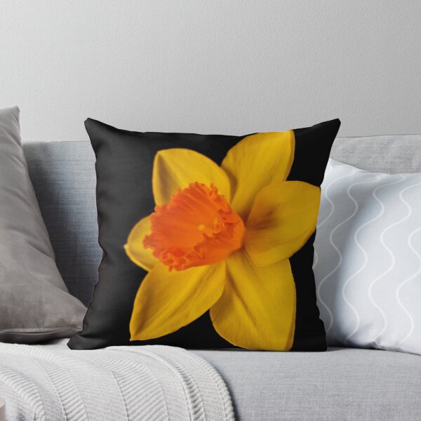 Item preview, Daffy designed and sold by George Swann.