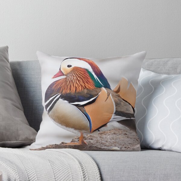 Item preview, Mandarin Duck  1 designed and sold by lloydsjourney.