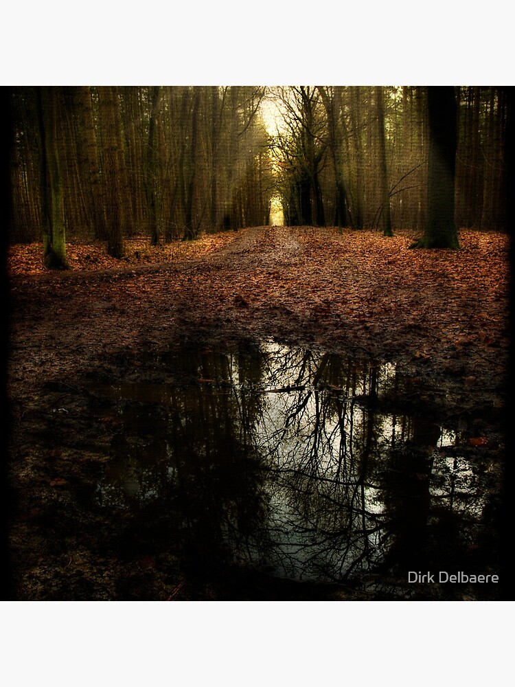 go on by Delbaere