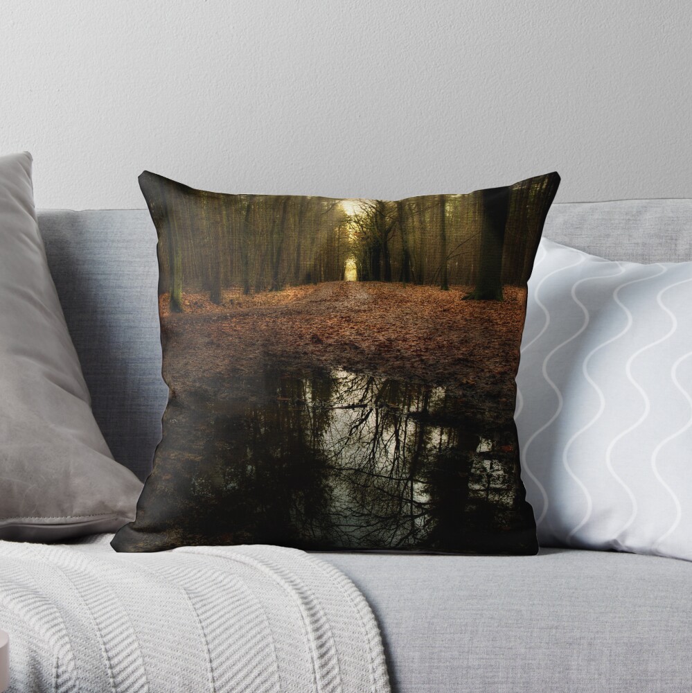 go on Throw Pillow