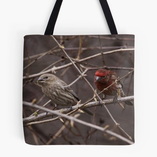 Item preview, House Finch Pair designed and sold by John Absher.