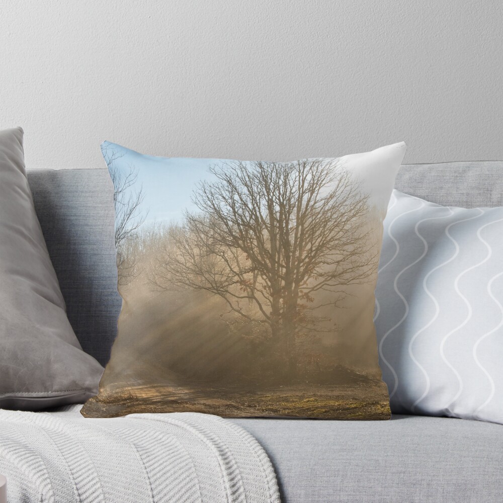 Item preview, Throw Pillow designed and sold by believer9.