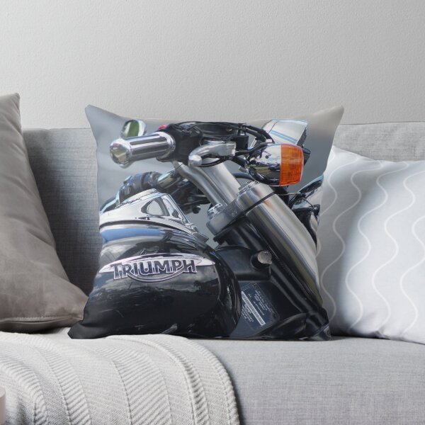 "Art is the Triumph over Chaos" ~ John Cheever Throw Pillow