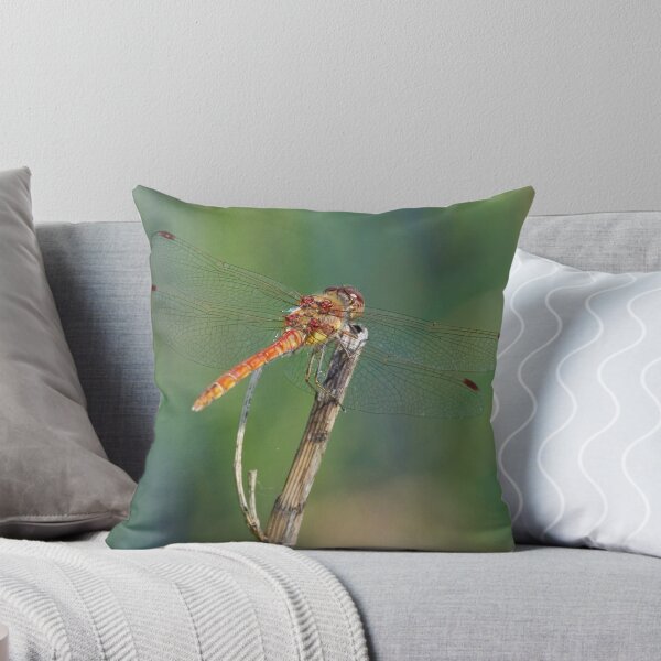 Item preview, Common Darter Dragonfly designed and sold by Keith Dunning.