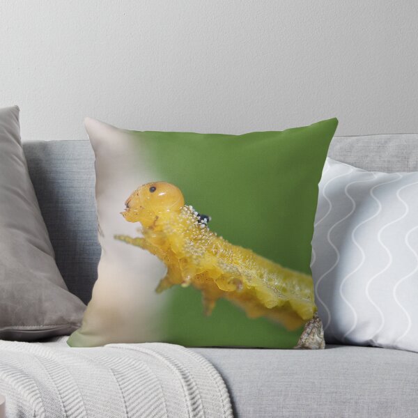 Item preview, Just out of Reach designed and sold by Aaron Murgatroyd.
