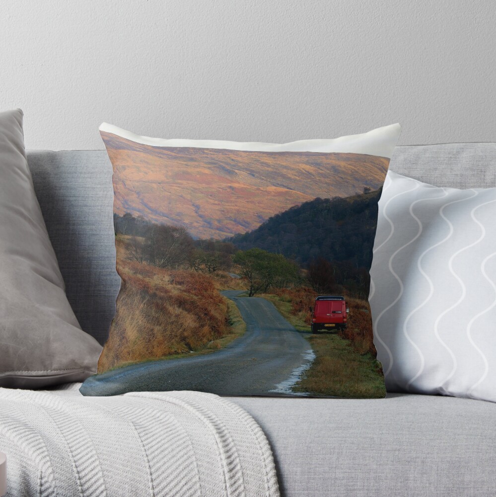 Who the  *uck told  you  to park there ? Throw Pillow