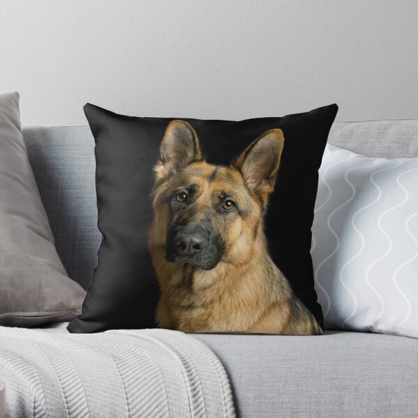 https://ih1.redbubble.net/image.796565730.8182/throwpillow,small,600x-bg,f8f8f8-c,0,120,600,600.u5.jpg