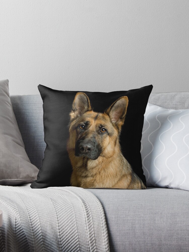 german shepherd cushion