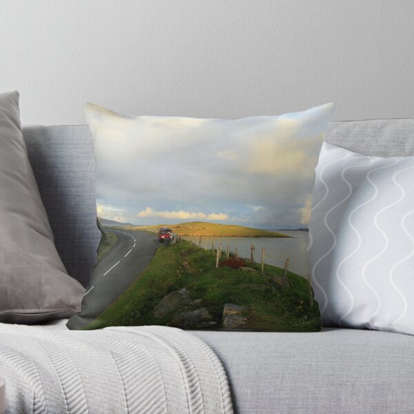 van 2 Throw Pillow
