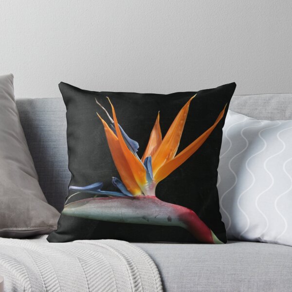 Item preview, 'FAUNA OR FLORA ?' designed and sold by Ahscotty.