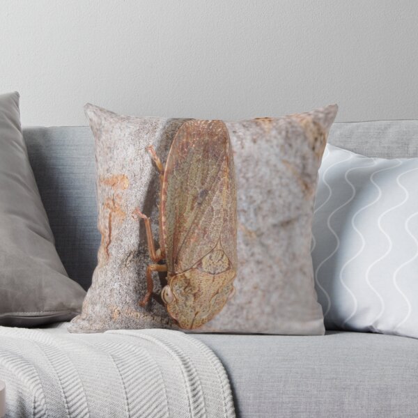 Black flat-head leafhopper Throw Pillow