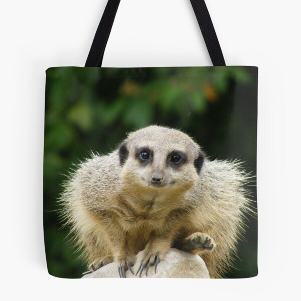 Artikelvorschau, Meercat Mountain entworfen und verkauft von Laura Kelk.