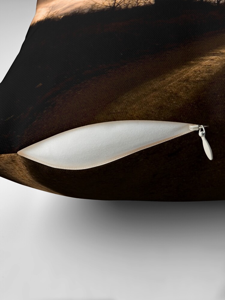 Thumbnail 2 of 4, Pillow, As the rain leaves... designed and sold by believer9.