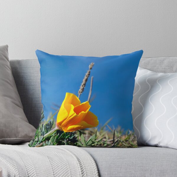 Item preview, California Poppy designed and sold by Alice Leon.